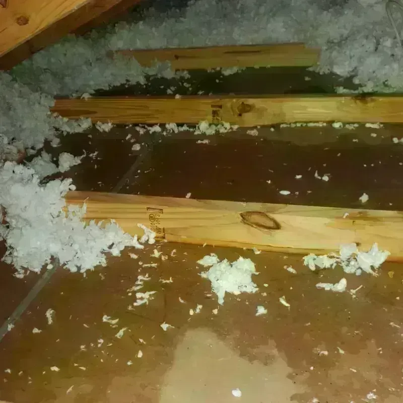 Attic Water Damage in Mikoma, MS