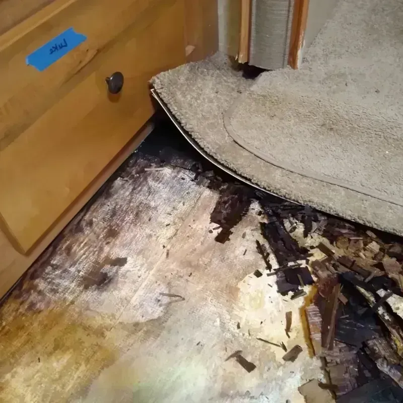 Best Wood Floor Water Damage Service in Mikoma, MS